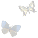 фон с бабочками